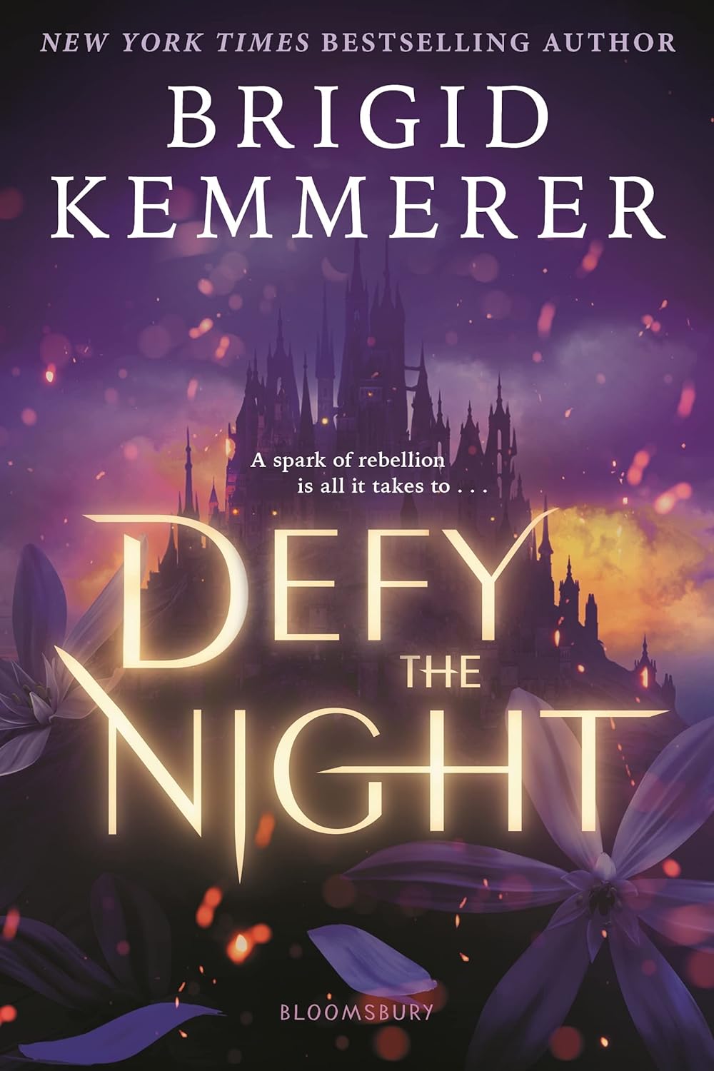 Defy the Night - Brigid Kemmerer
