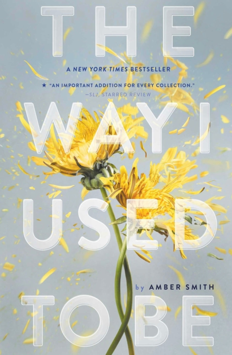 The Way I Used To Be - Amber Smith