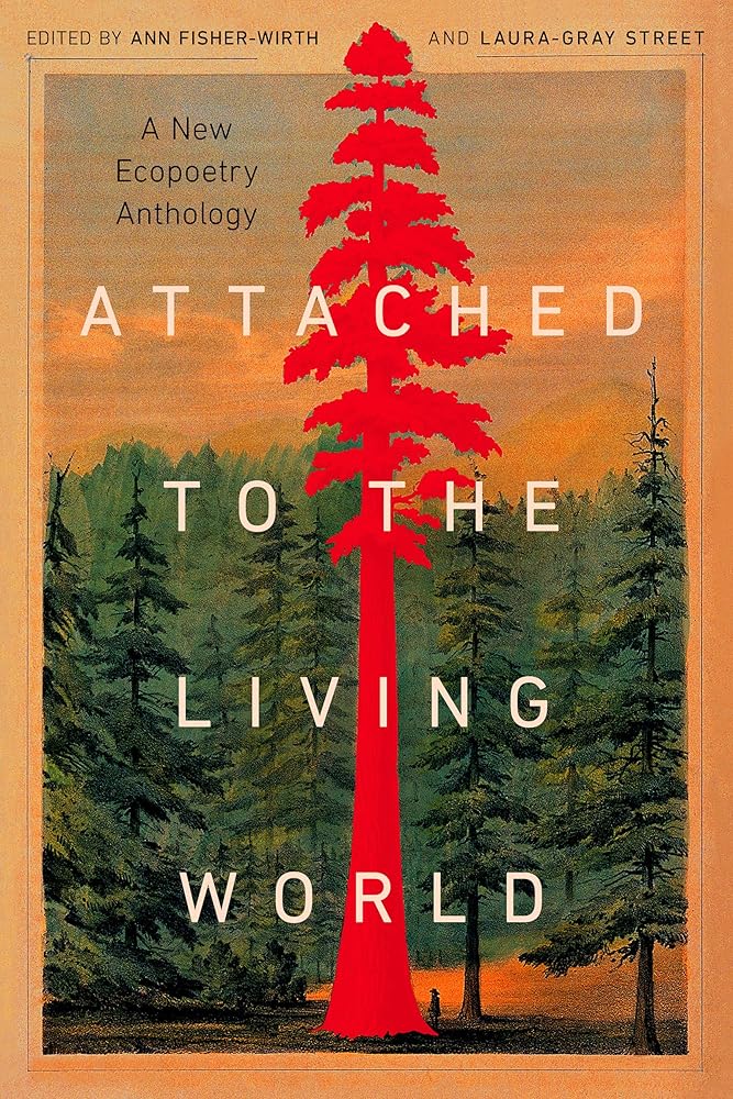 Attached to the Living World: A New Ecopoetry Anthology cover image