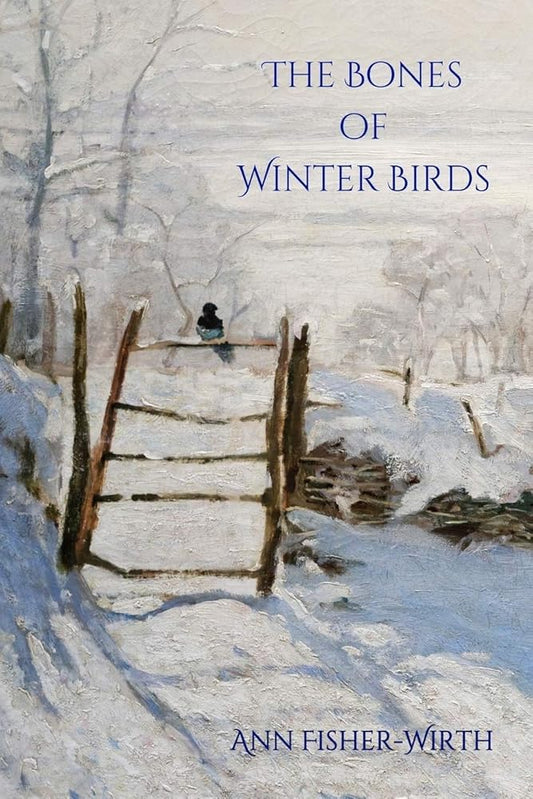 The Bones of Winter Birds (Terrapin Poetry) cover image