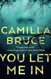 You Let Me In - Camilla Bruce