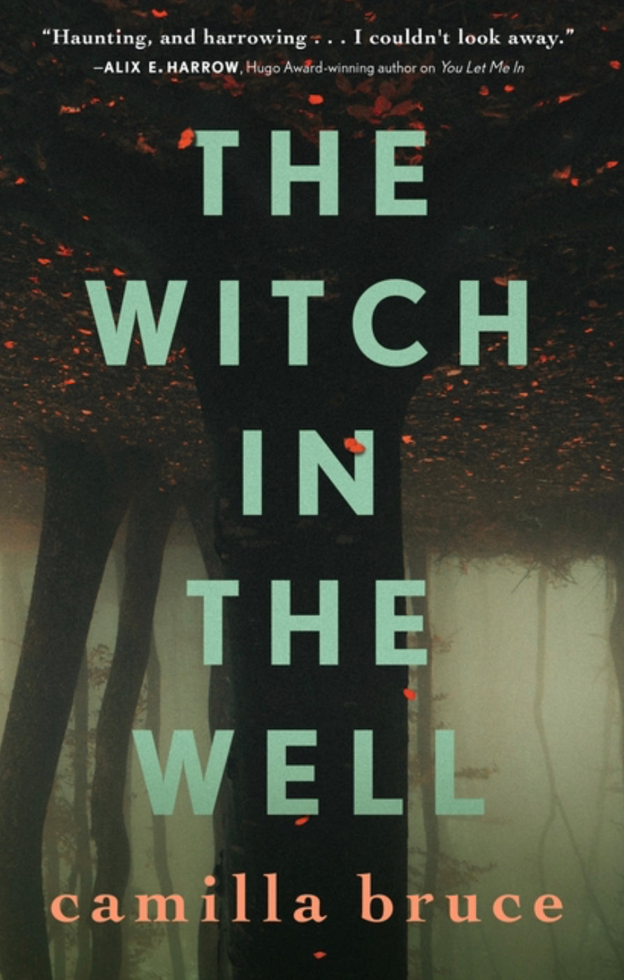 The Witch In The Well - Camilla Bruce