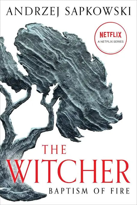 The Witcher - The Baptism of Fire - Andrzej Sapkowski