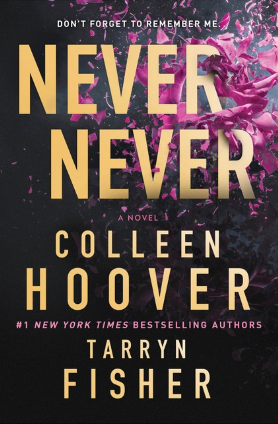 Never Never - Colleen Hoover & Tarryn Fisher