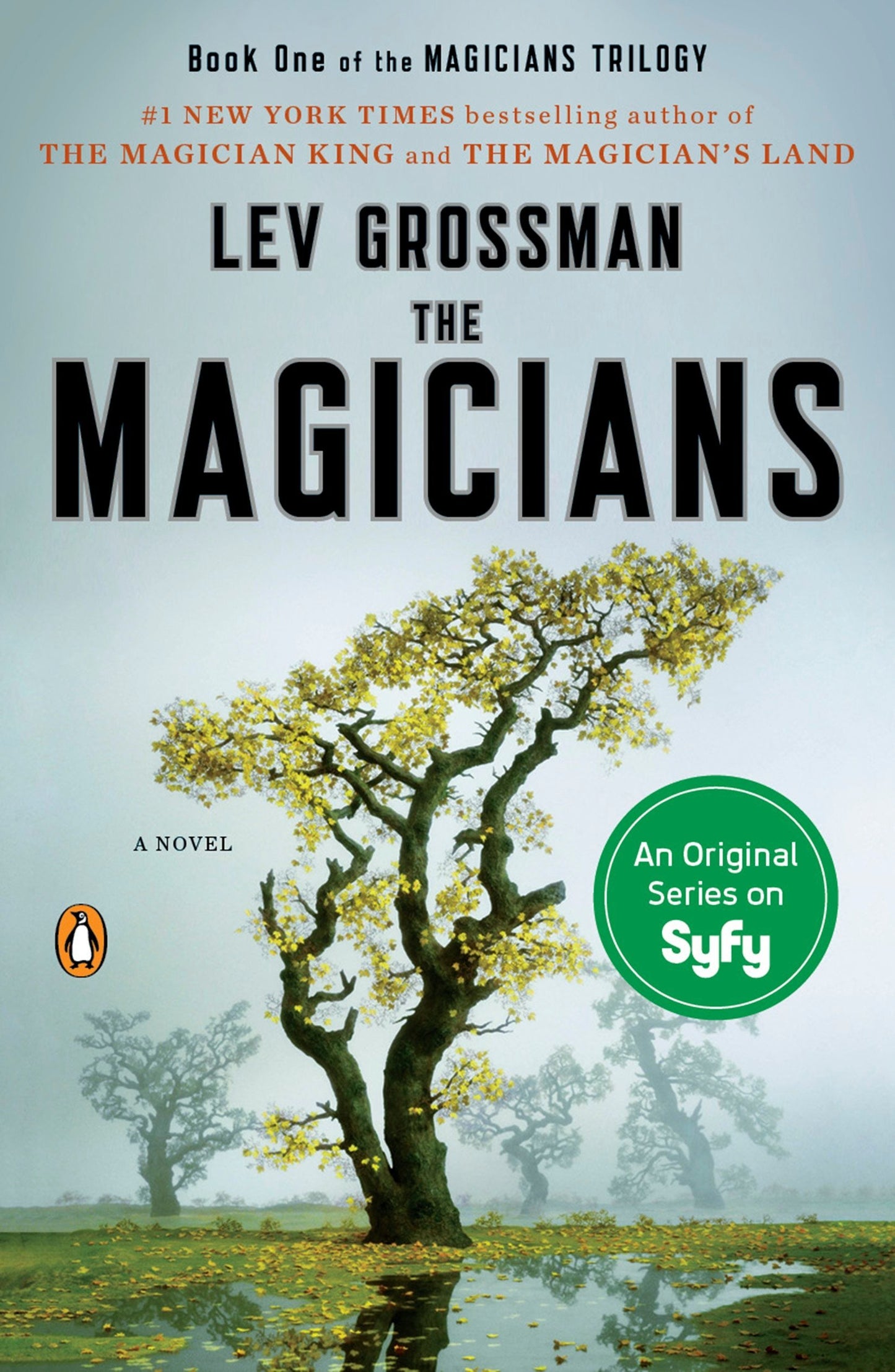 The Magicians (Magicians Trilogy #1) - Lev Grossman